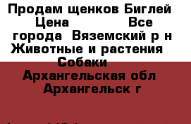 Продам щенков Биглей › Цена ­ 15 000 - Все города, Вяземский р-н Животные и растения » Собаки   . Архангельская обл.,Архангельск г.